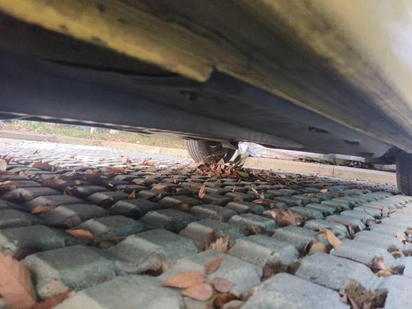 [嘉兴·浙F] 二手大众Polo2014款 1.4L 手动风尚版