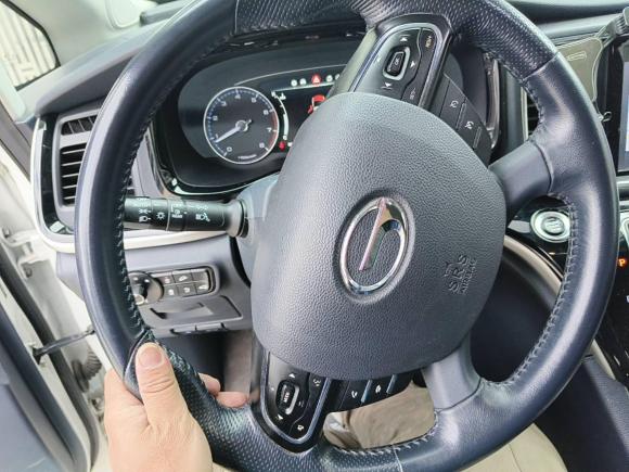 [上海·沪C] 二手广汽传祺传祺M82020款 大师版 390T 至尊版