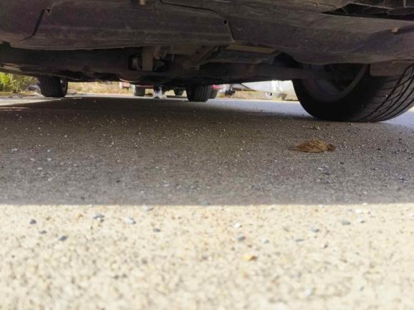 [苏州·苏U] 二手北京汽车北京U72019款 1.5T CVT新智版 国VI