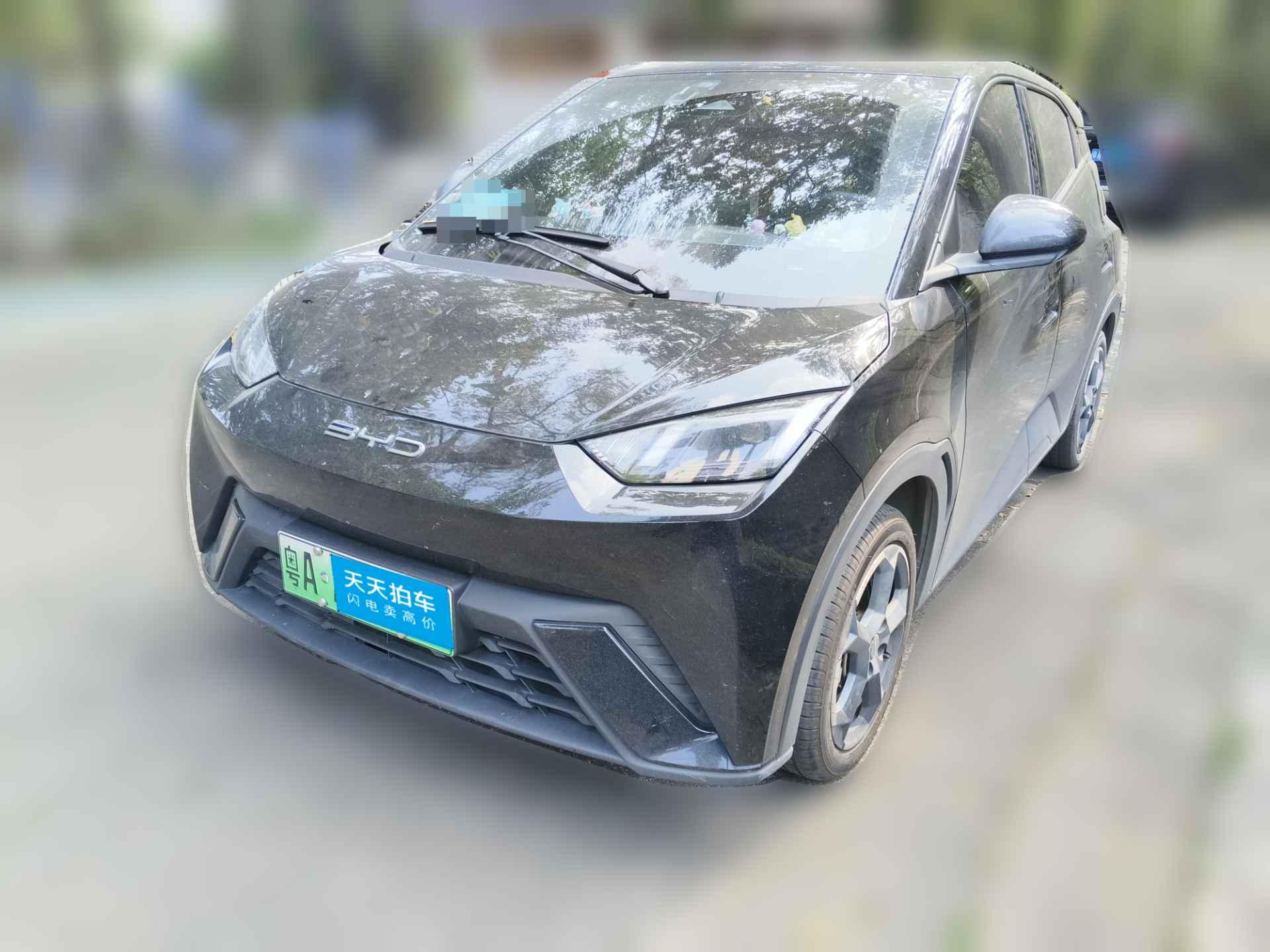 [广州·粤A] 比亚迪海鸥2023款 飞翔版