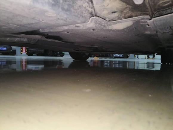 [温州·浙C] 二手本田雅阁2018款 260TURBO 豪华版 国V