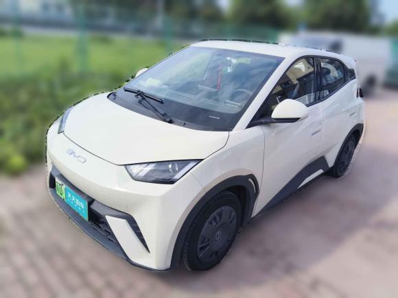 比亚迪海鸥2023款 活力版「常州二手车」「天天拍车」