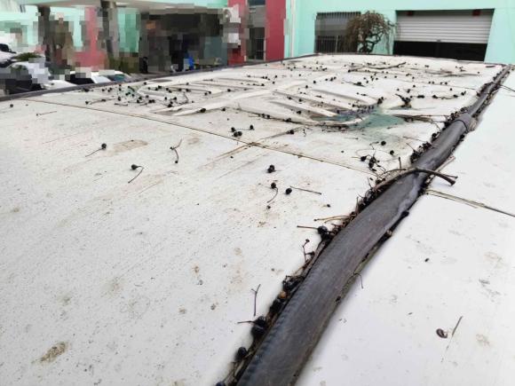 [苏州·苏E] 二手依维柯依维柯褒迪2012款 2.5T-A32 基本型