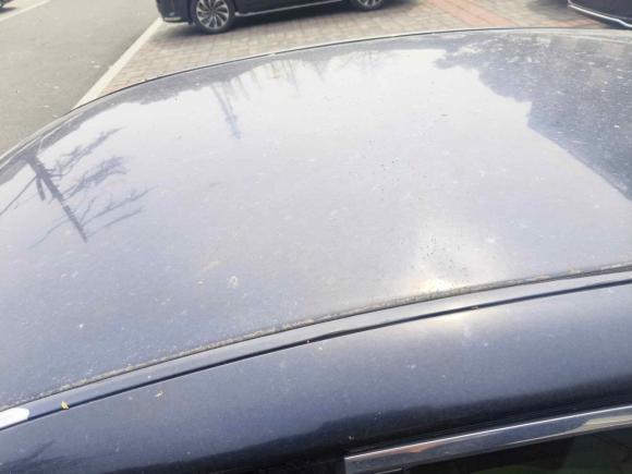 [常州·沪C] 二手丰田皇冠2006款 2.5L Royal 真皮版