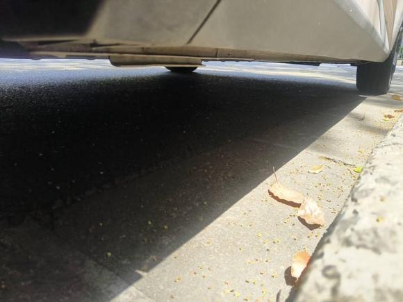 [上海·苏F] 二手比亚迪海鸥2024款 荣耀版 305km 自由版