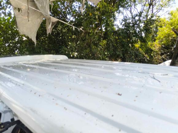 [温州·辽B] 二手长安凯程长安睿行M702019款 1.5L舒适型6座国VI平顶背掀门DAM15KL