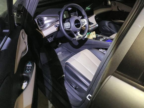 [广州·粤A] 二手比亚迪海豚2023款 420km 自由版