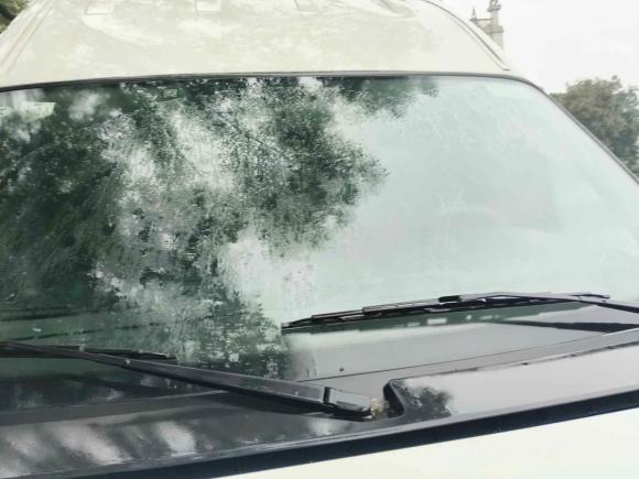 [宁波·浙B] 二手江铃特顺2021款 2.8T空间王金牛款短轴中高顶6座柴油国VI JX493