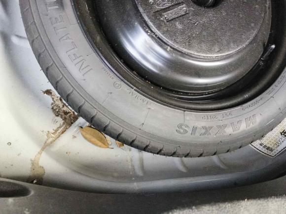 [杭州·浙A] 二手福特福克斯2015款 两厢 1.6L 自动风尚型