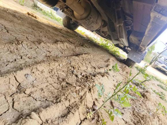 [常州·苏D] 二手依维柯依维柯得意2022款 2.5T A37 M1客车 5-9座长轴中顶双胎手动门