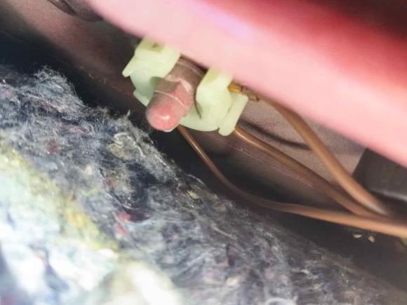 [成都·川B] 二手大众甲壳虫2018款 180TSI 尚乐型