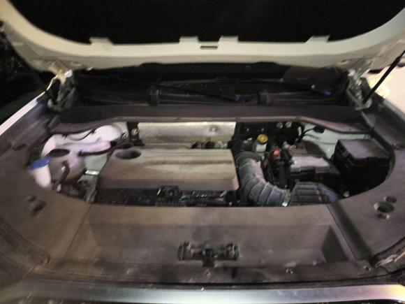 [合肥·皖A] 二手奇瑞瑞虎92023款 2.0T 双离合两驱尊贵版 7座