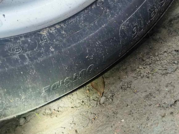 [上海·沪B] 二手日产天籁2011款 2.5L XL领先版