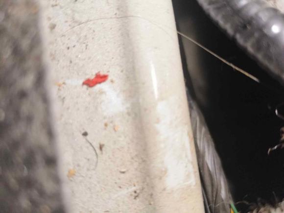 [西安·陕A] 二手日产蓝鸟2020款 1.6L CVT炫酷版