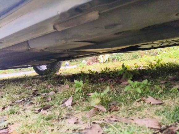 [温州·浙C] 二手奥迪奥迪Q32021款 35 TFSI 时尚动感型