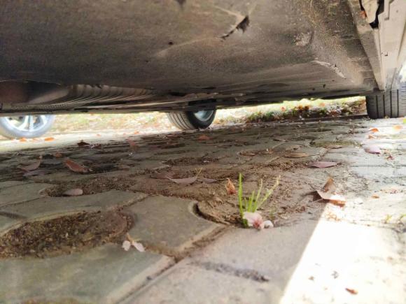 [合肥·皖A] 二手奥迪奥迪A6L2020款 40 TFSI 豪华动感型