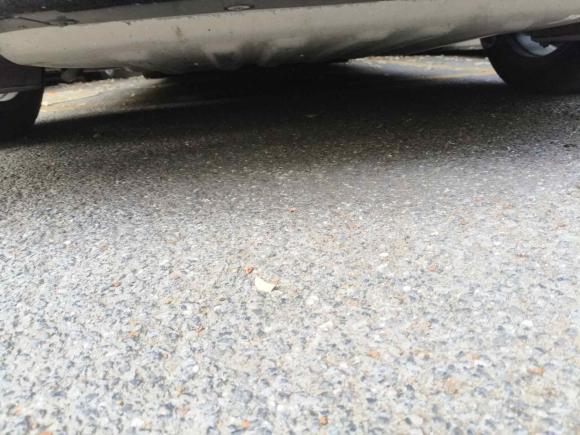 [杭州·浙A] 二手宝马宝马5系新能源2021款 535Le M运动套装