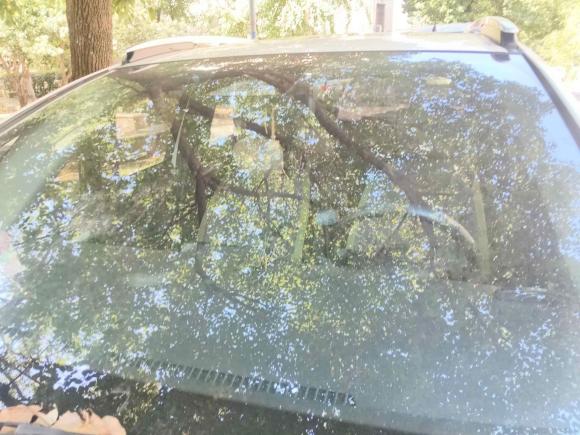 [宁波·浙B] 二手本田飞度2021款 1.5L CVT潮越Max版