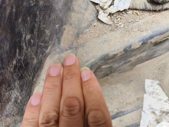 [合肥·皖A] 二手长安跨越跨越王X52021款 1.6L汽油标准版双排双后轮栏板3050mm货箱DAM16KR