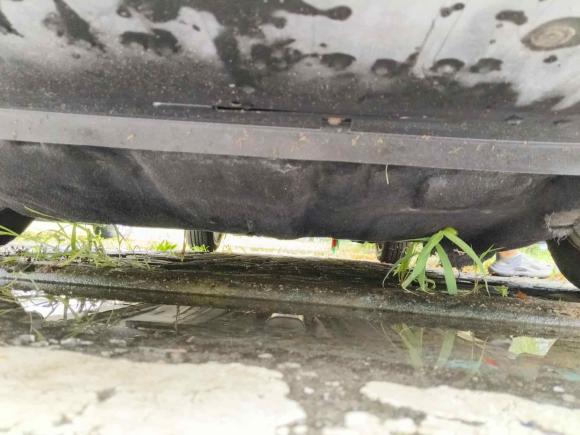 [无锡·苏B] 二手福特福克斯2012款 三厢 1.6L 手动风尚型