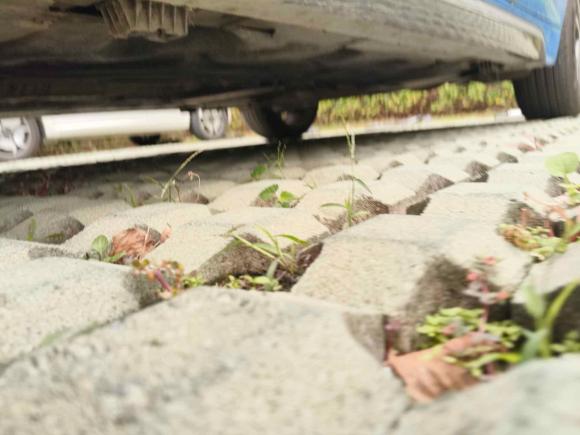 [嘉兴·浙F] 二手宝马宝马X22020款 xDrive25i M运动套装