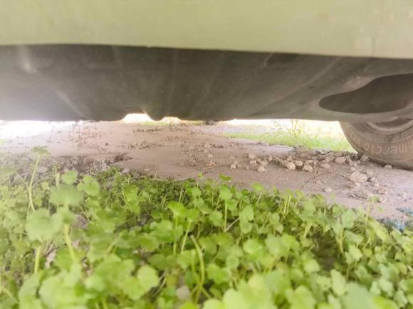 [上海·皖N] 二手金杯金杯快运2018款 2.0L标准型V19