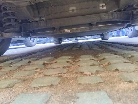 [上海·沪A] 二手比亚迪海豚2021款 405km 时尚版