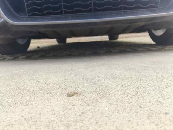 [上海·沪A] 二手宝马宝马4系2017款 425i M运动套装