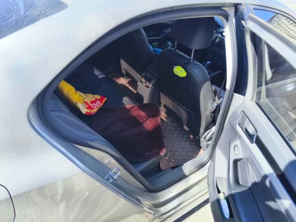 [青岛·鲁B] 二手大众速腾2018款 280TSI DSG熠动版