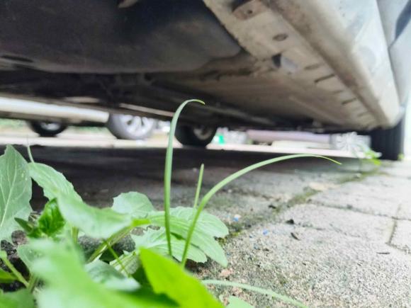 [成都·川A] 二手日产骊威2010款 劲锐版 1.6L 自动智能型