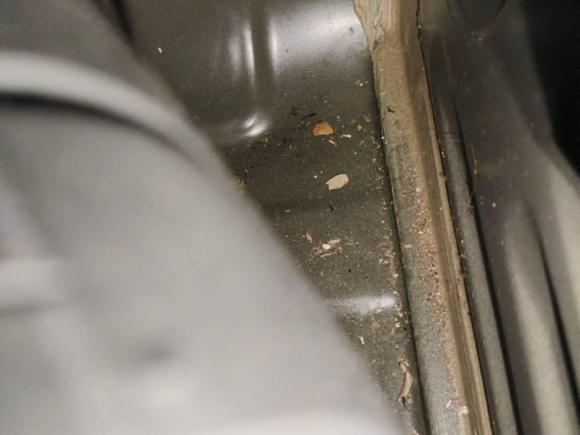 [深圳·粤B] 二手丰田凯美瑞2012款 骏瑞 2.0S 耀动版