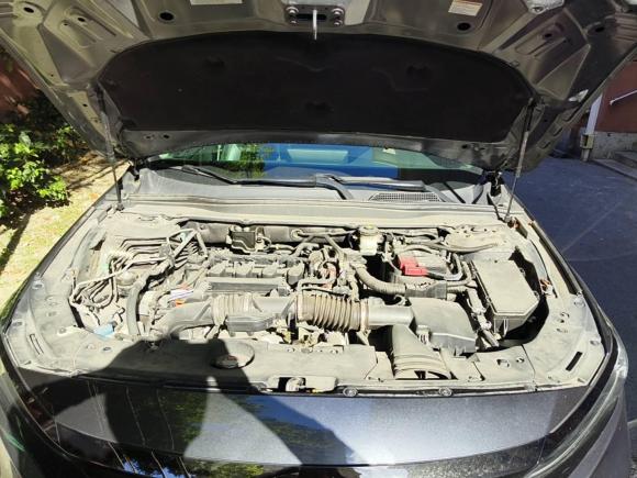 [上海·沪E] 二手本田雅阁2022款 260TURBO 幻夜·尊贵版