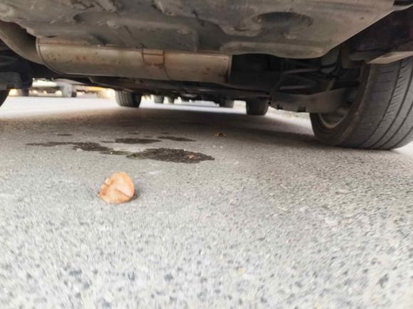 [义乌·鄂A] 二手标致标致4082016款 1.6T 自动豪华版