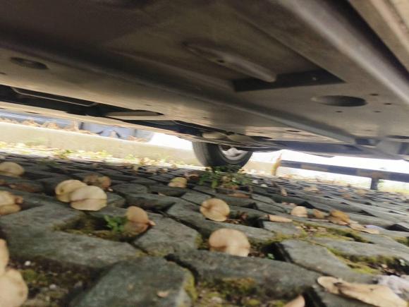 [嘉兴·浙F] 二手丰田卡罗拉2019款 1.2T S-CVT GL-i精英版