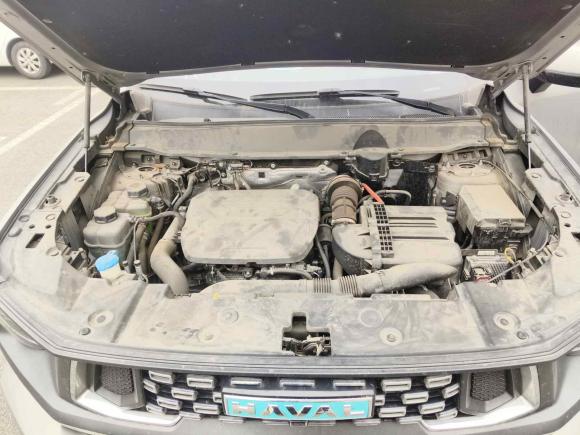 [青岛·鲁B] 二手哈弗哈弗大狗 PLUS 新能源2023款 DHT-PHEV 105km 潮电版Plus
