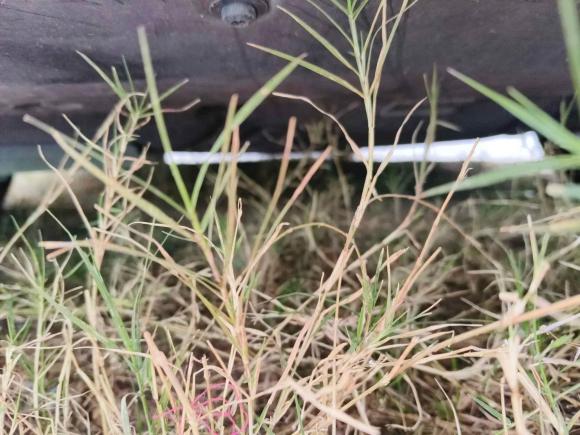 [深圳·渝A] 二手福特蒙迪欧2022款 改款 EcoBoost 245 时尚型