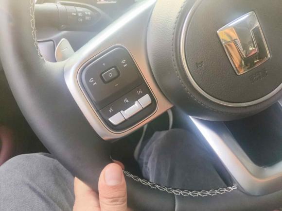 [杭州·浙A] 二手坦克坦克3002024款 330 3.0T V6