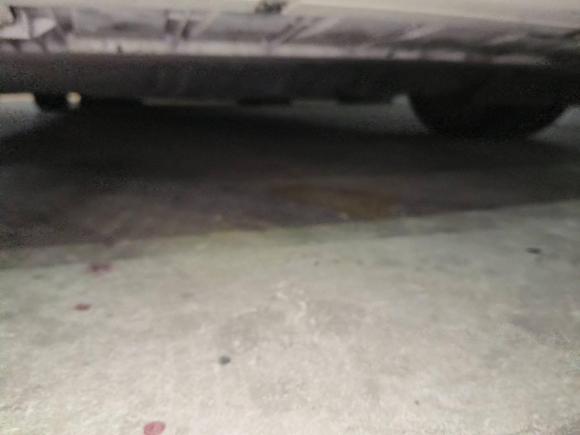 [青岛·鲁U] 二手福特蒙迪欧-致胜2011款 2.0L GTDi200豪华型