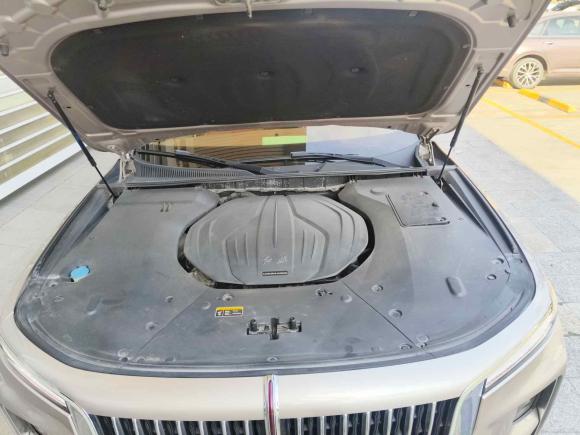 [广州·粤A] 二手红旗红旗H92020款 改款 2.0T 智联旗畅版