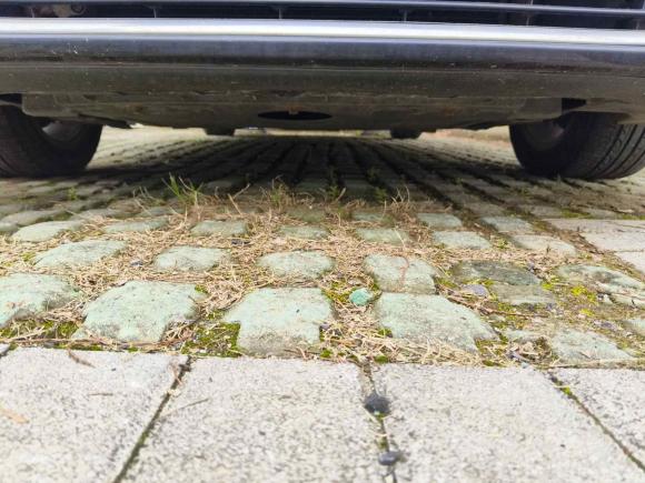 [武汉·渝B] 二手大众迈腾2015款 改款 1.8TSI 豪华型