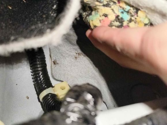 [广州·粤R] 二手本田锋范2017款 1.5L CVT舒适版