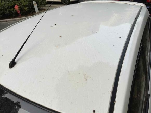 [上海·冀A] 二手启辰启辰R502015款 1.6L 自动时尚版