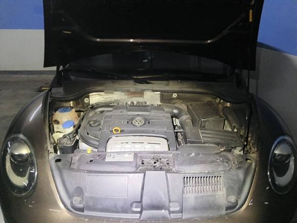 [上海·沪B] 二手大众甲壳虫2015款 280TSI