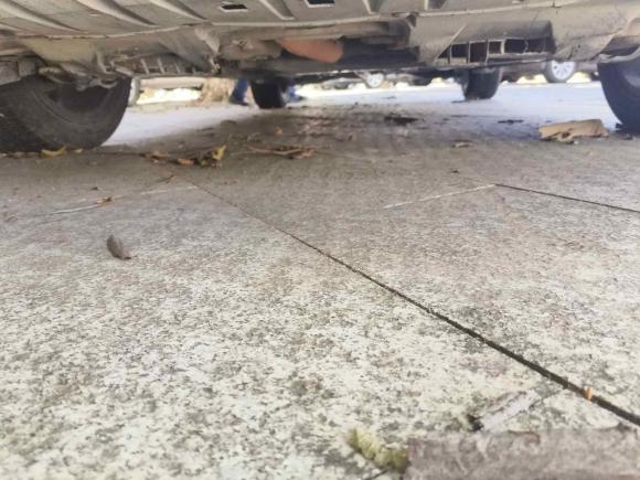 [南昌·赣A] 二手本田思域2014款 1.8L 自动豪华版