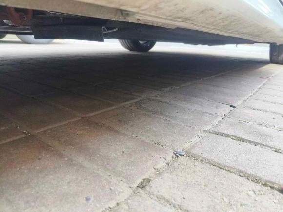 [上海·沪F] 二手福特福克斯2021款 两厢 EcoBoost 180 自动ST Line