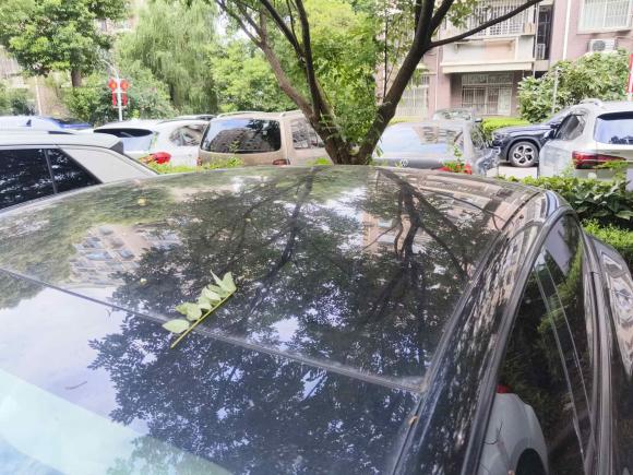 [上海·沪A] 二手特斯拉Model 32022款 后轮驱动版