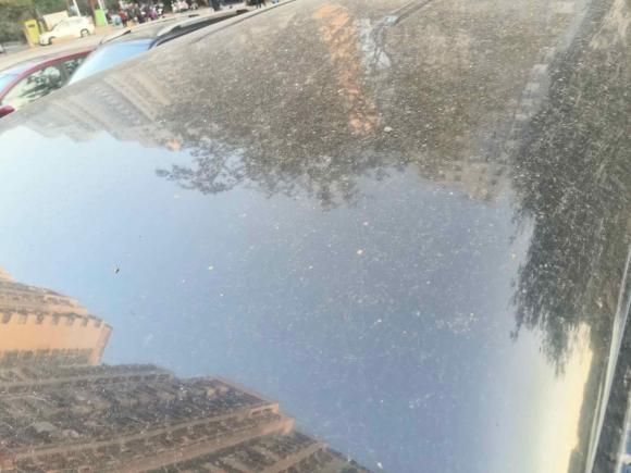 [南京·苏A] 二手东风风行菱智2019款 改款 M5L 1.6L 7座基本型 国VI