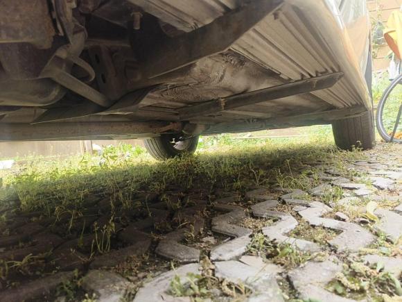 [南京·苏A] 二手雷诺科雷傲2012款 2.5L 四驱豪华导航版