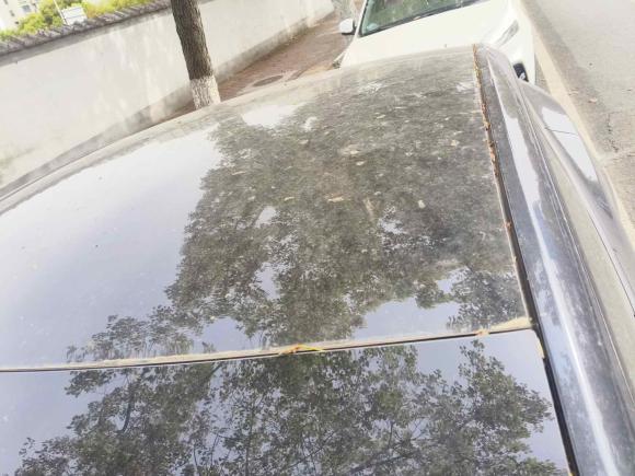 [上海·沪A] 二手特斯拉Model Y2024款 后轮驱动版