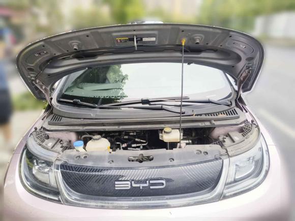 [成都·川A] 二手比亚迪海豚2021款 401km 骑士版